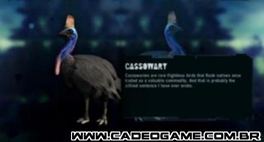http://images3.wikia.nocookie.net/__cb20130404111956/farcry/images/thumb/5/55/Cassowary_pic.jpg/320px-Cassowary_pic.jpg
